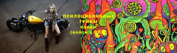 марки lsd Верхний Тагил