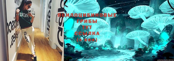 МДПВ Верея