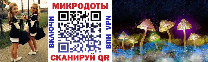 Купить  Анадырь  Псилоцибиновые грибы MAGIC MUSHROOMS 